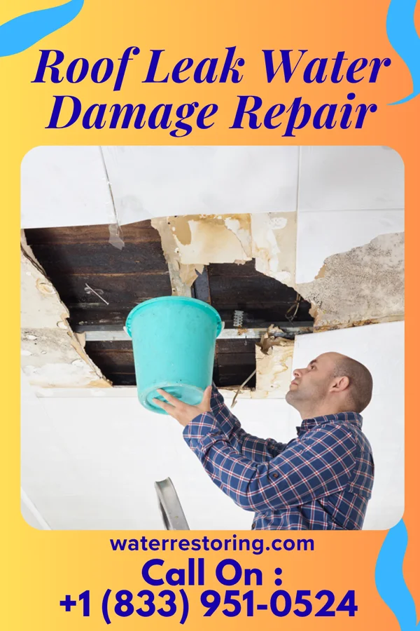 Roof Leak Water Damage Repair in Edgewood, CA